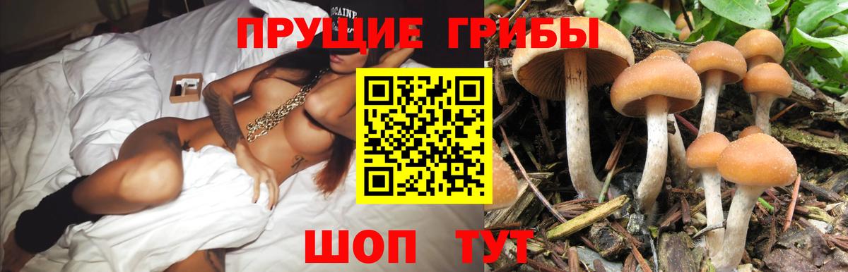 Боровичи  Псилоцибиновые грибы GOLDEN TEACHER  что такое наркотик  Вход с VPN 
